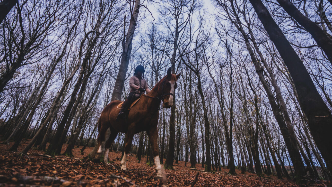 Glenealy, Co Wicklow_master