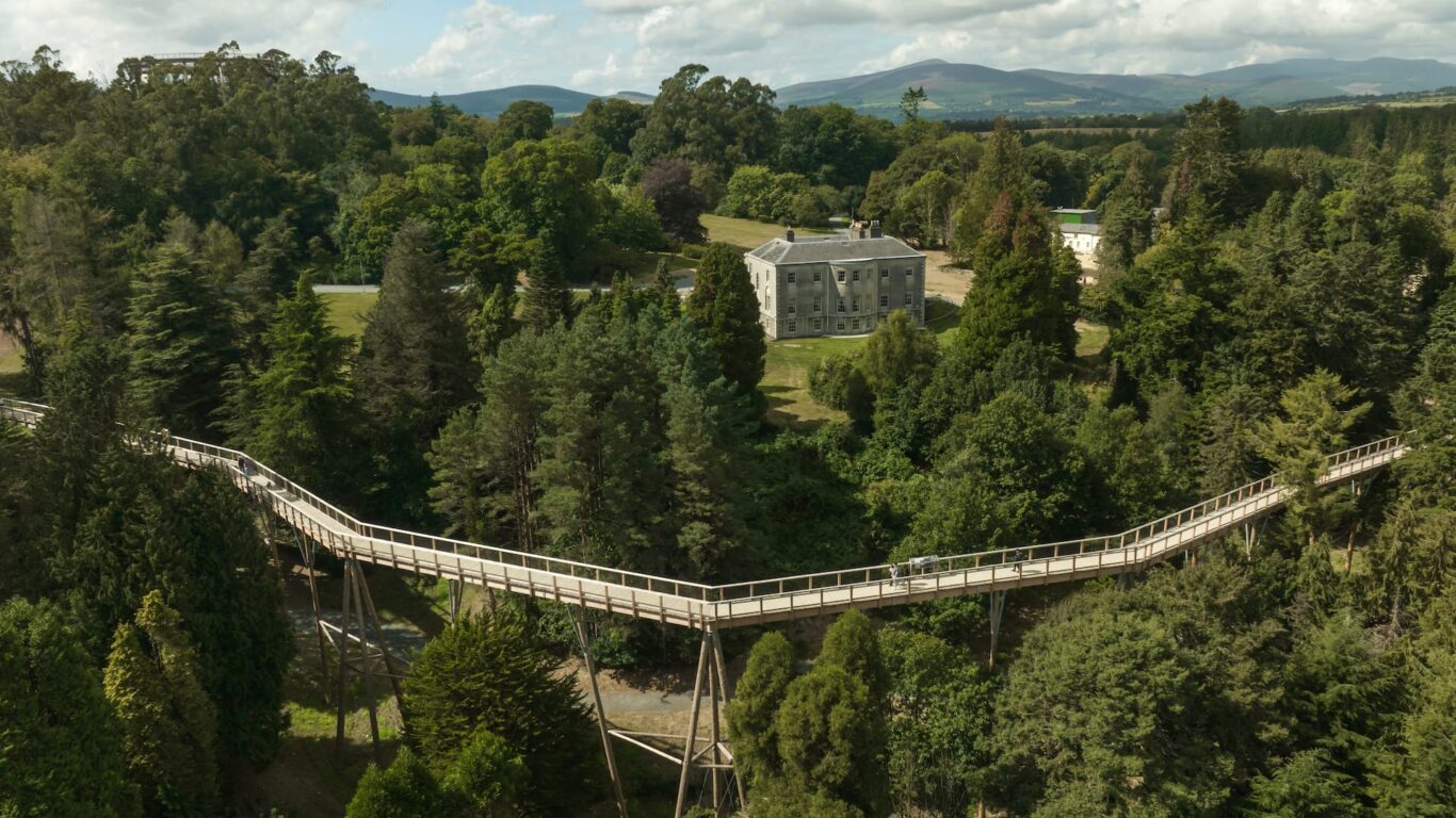 beyond-the-trees-avondale-drone-89