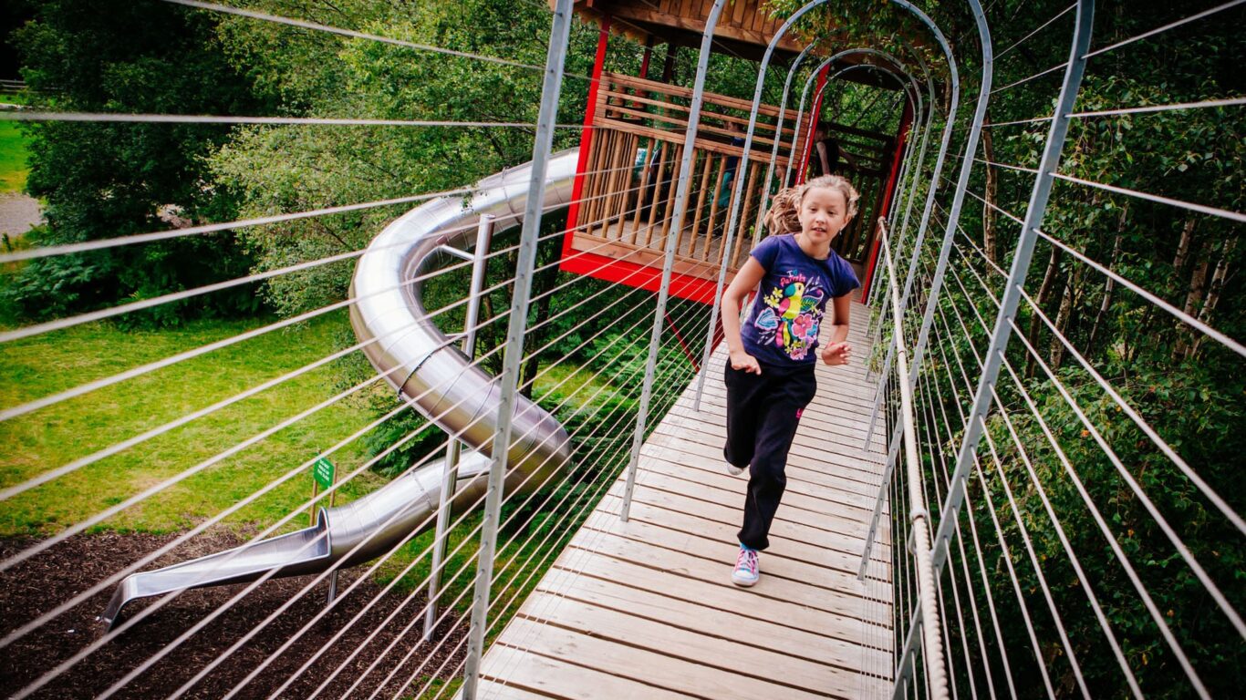 claralara-image-bridge