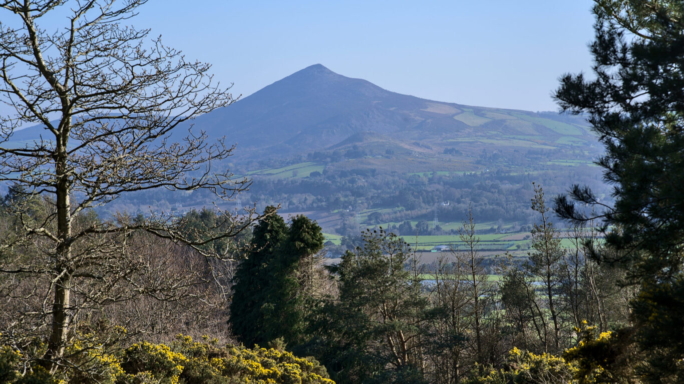 Scenic mountain view from hotel gardens, lush greenery, relaxing atmosphere for guests, perfect for a tranquil retreat.