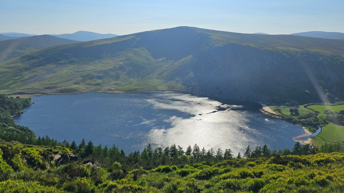 summer wicklow