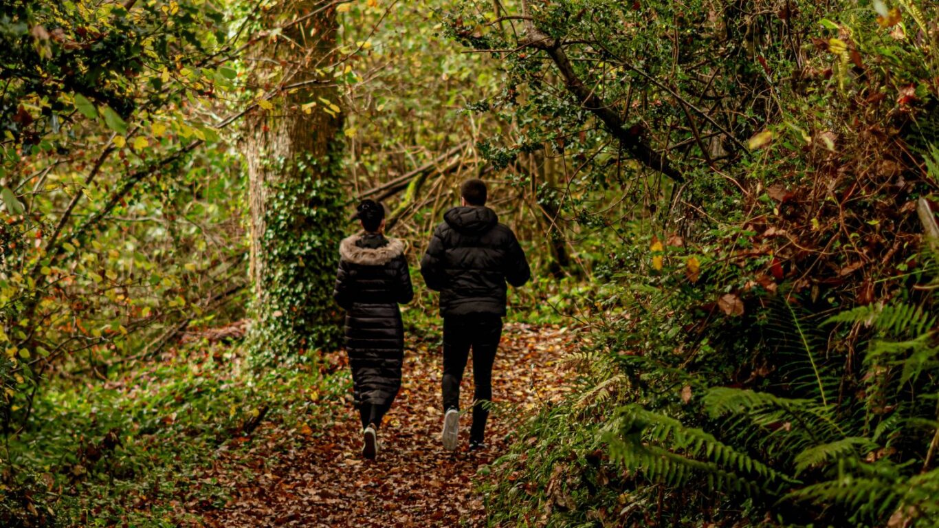 Two people in dark jackets walk along a leaf-covered path surrounded by dense, green forest vegetation.
