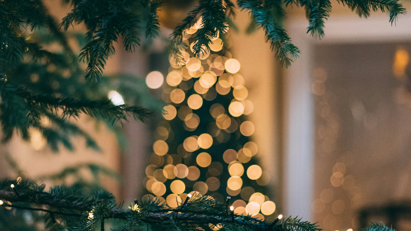 Festive hotel lobby adorned with a sparkling Christmas tree, creating a warm, inviting atmosphere for winter getaways.